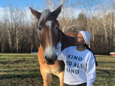 Kind to all kind campaign at The Barnyard Sanctuary